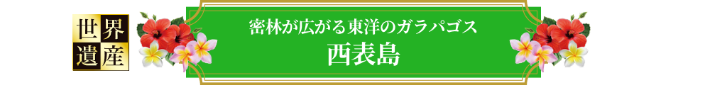 西表島