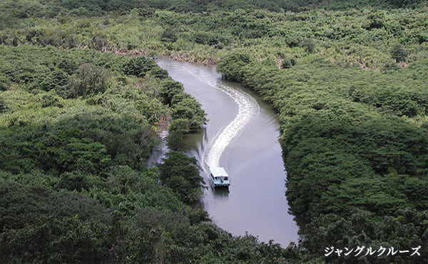 ジャングルクルーズ
