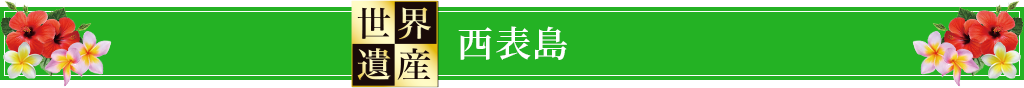西表島