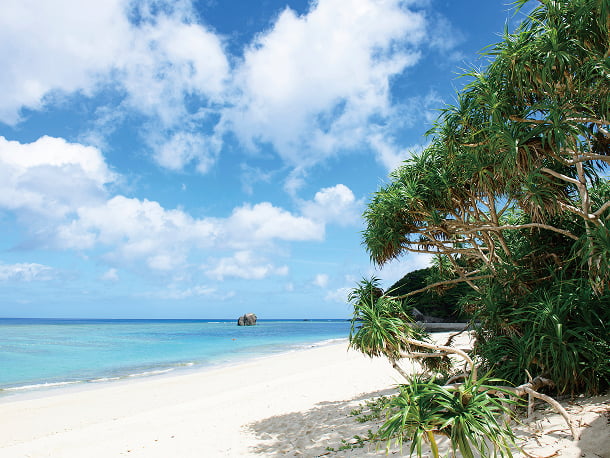 奄美大島のイメージ写真