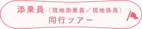 添乗員（現地添乗員／現地係員）同行ツアー