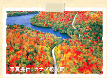 ローレンシャン高原