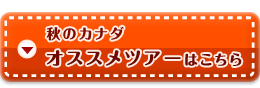 秋のカナダ　オススメツアーはこちら