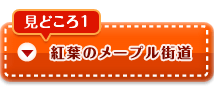 紅葉のメープル街道