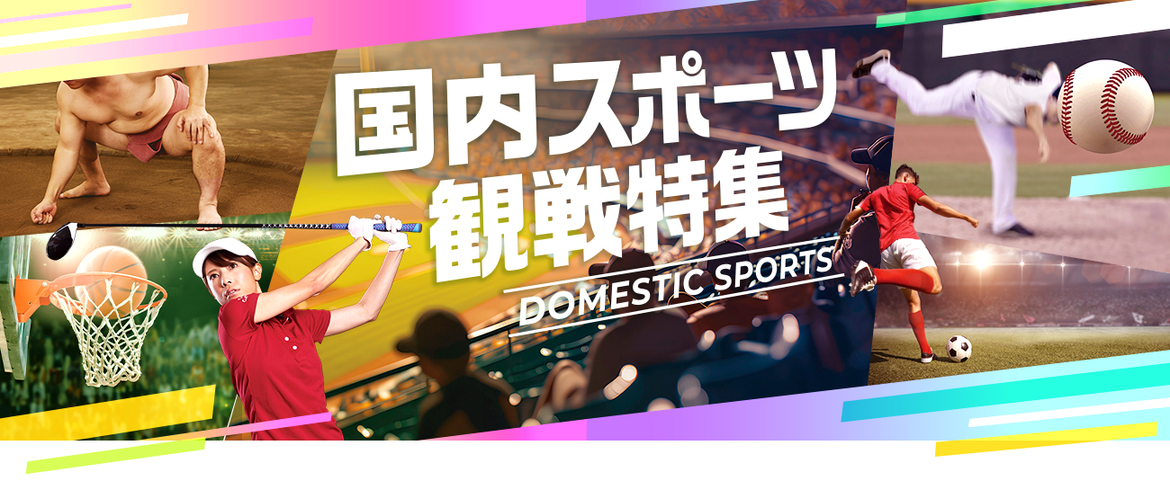 国内スポーツ観戦特集