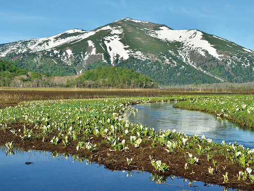 国立公園のイメージ写真