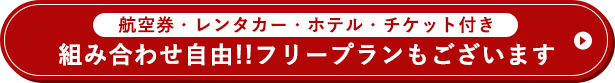 組み合わせ自由!!フリープランもございます