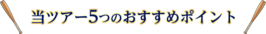 当ツアー5つのおすすめポイント