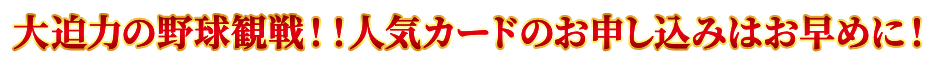 大迫力の野球観戦！！人気カードのお申し込みはお早めに！