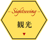 観光