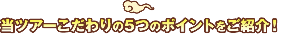 当ツアーこだわりの5つのポイントをご紹介！