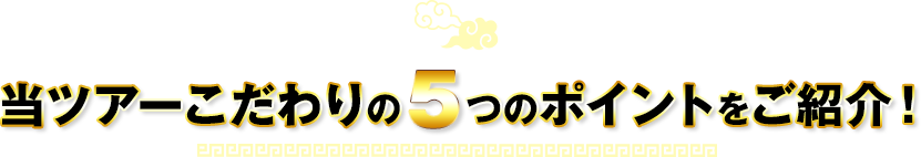 当ツアーこだわりの5つのポイントをご紹介！