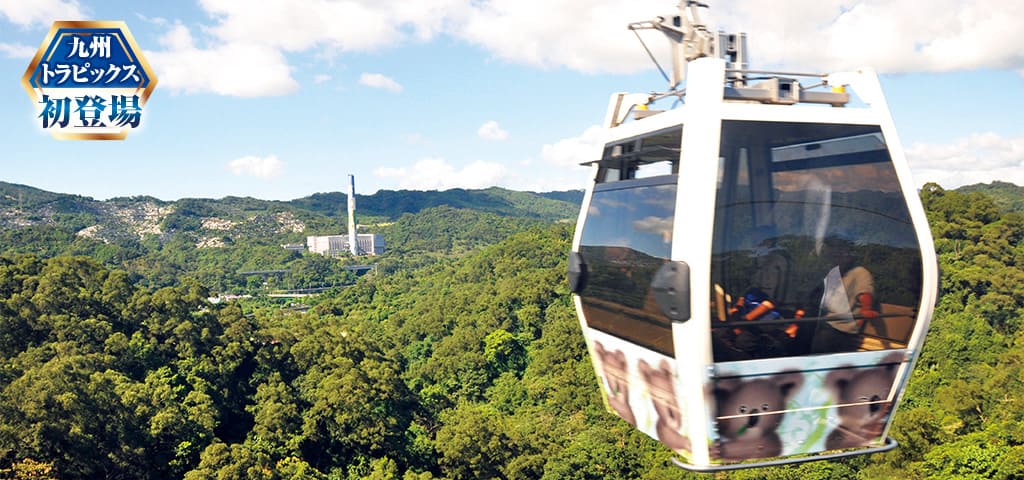 猫空ロープウェイ