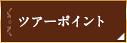 ツアーポイント