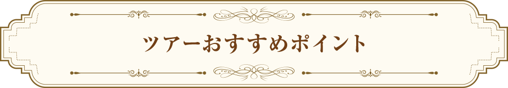 ツアーおすすめポイント