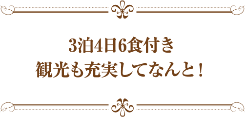 3泊4日6食付き観光も充実してなんと!