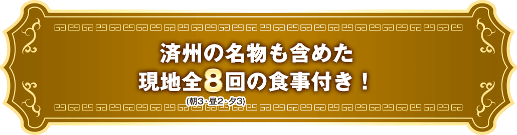済州の名物も含めた現地全8回の食事付き!