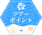 ツアーポイント