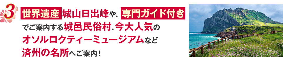 ポイント3 城山日出峰