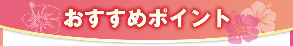 おすすめポイント
