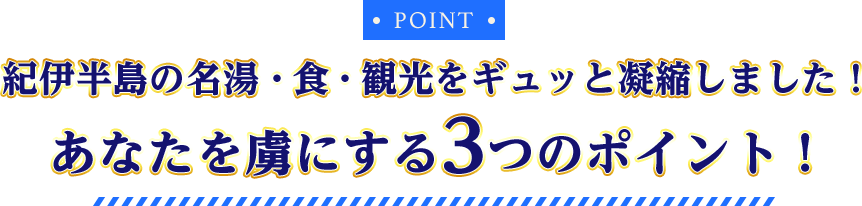 POINT 紀伊半島の名湯・食・観光をギュッと凝縮しました! あなたを虜にする3つのポイント!