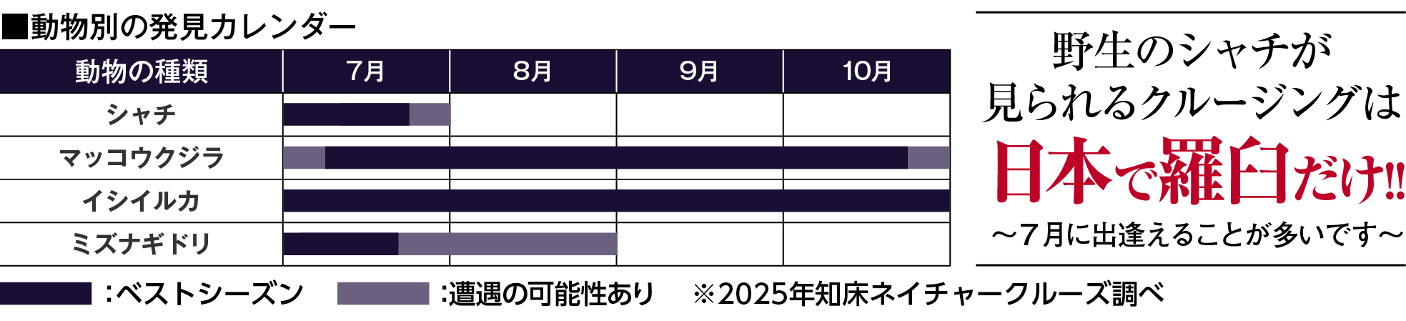 羅臼動物別の発見カレンダー