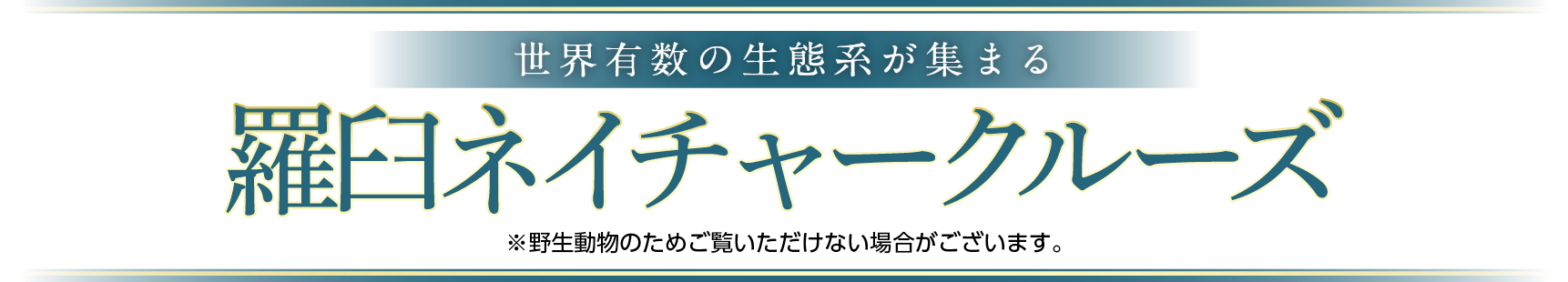 羅臼ネイチャークルーズ