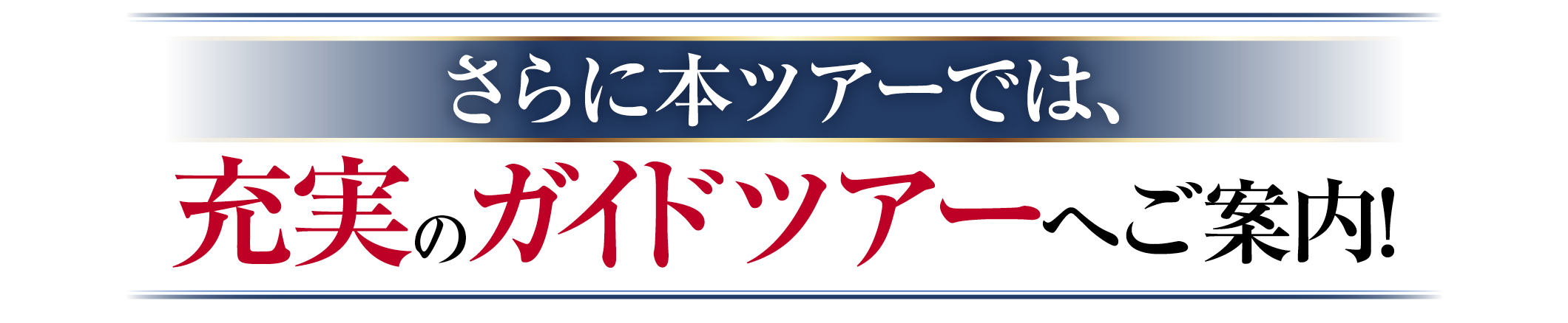 充実のガイドツアーへご案内