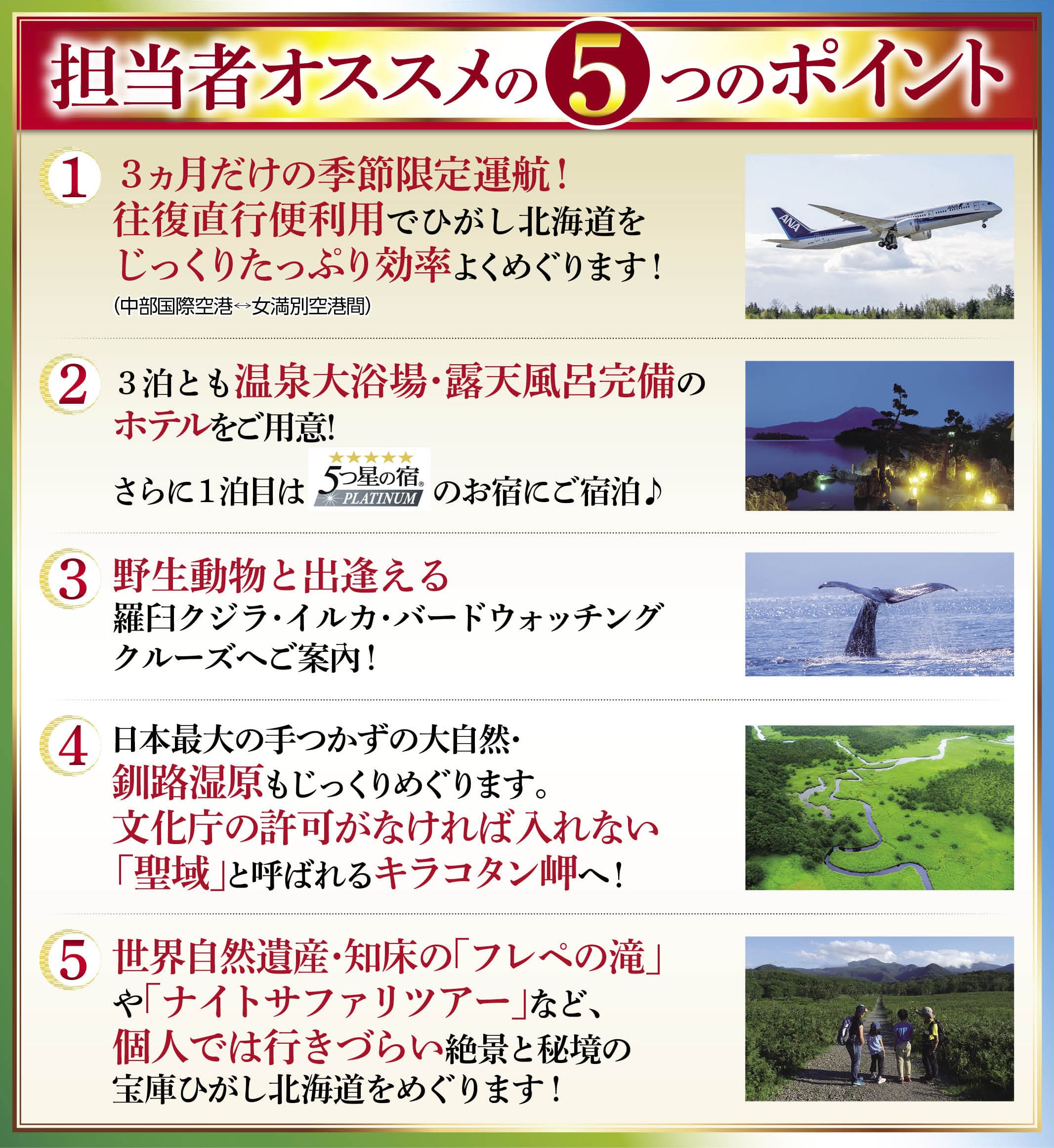 担当者オススメの5つのポイント