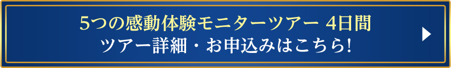 5つの感動体験モニターツアー 4日間ツアー詳細・お申込みはこちら!