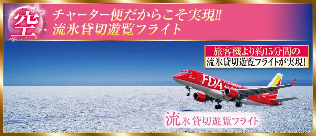空 チャーター便だからこそ実現! 流氷貸切遊覧フライト