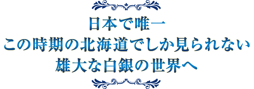 日本で唯一この時期の北海道でしか見られない雄大な白銀の世界へ