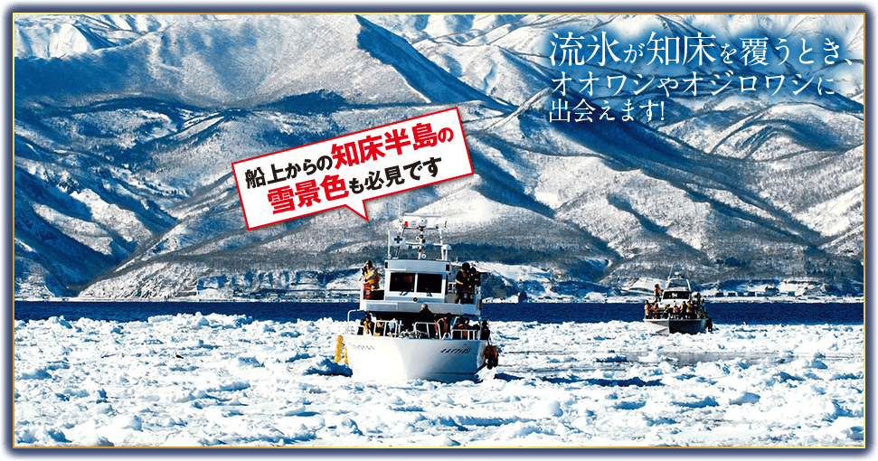 羅臼・根室海峡クルーズ