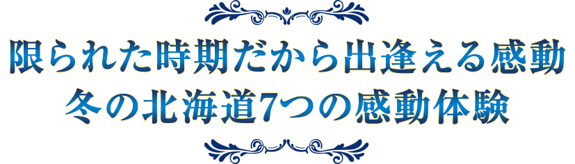 限られた時期だから出逢える感動冬の北海道7つの感動体験