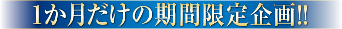 1か月だけの期間限定企画