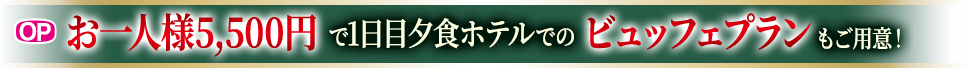 お一人様5,500円で3日目夕食ホテルでのビュッフェプランもご用意!