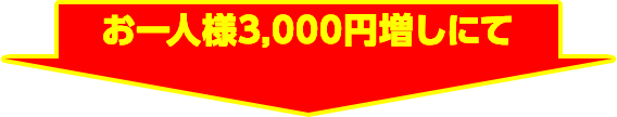 お一人様3,000円増しにて