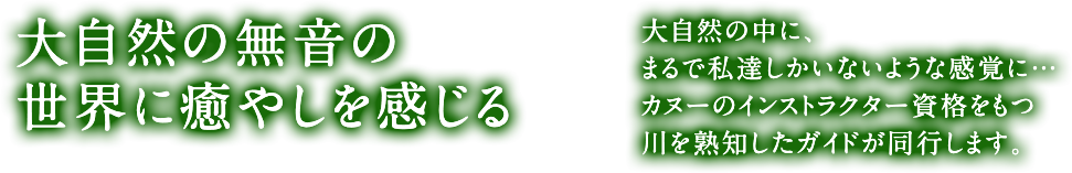 大自然の無音の世界に癒やしを感じる
