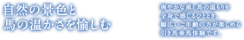 自然の景色と馬の温かさを愉しむ