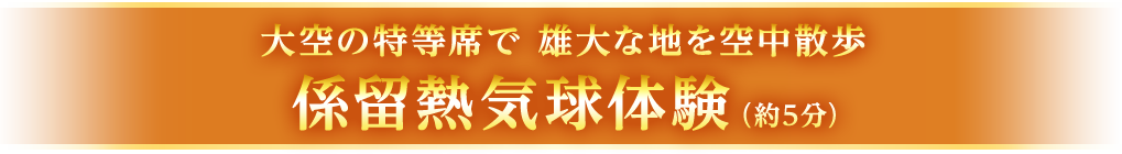 大空の特等席で 雄大な地を空中散歩 係留熱気球体験（約5分）