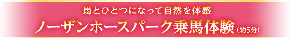馬とひとつになって自然を体感 ノーザンホースパーク乗馬体験（約5分）