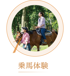 乗馬体験