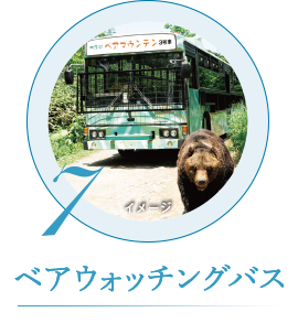 ベアウォッチングバス