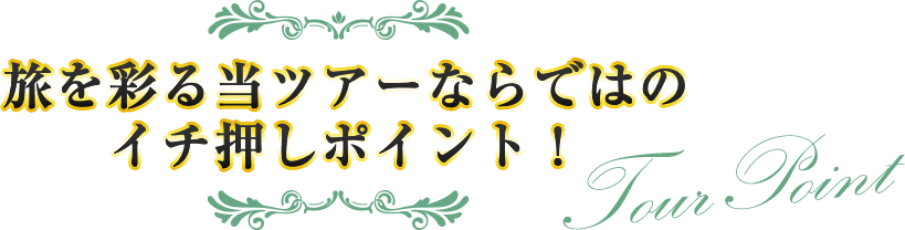 旅を彩る当ツアーならではのイチ押しポイント!