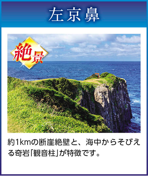 左京鼻