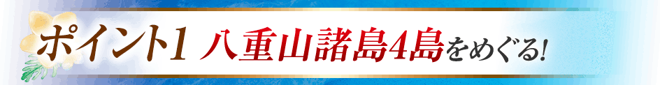ポイント1　八重山諸島4島をめぐる
