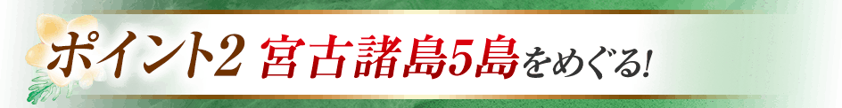 ポイント2　宮古諸島5島をめぐる