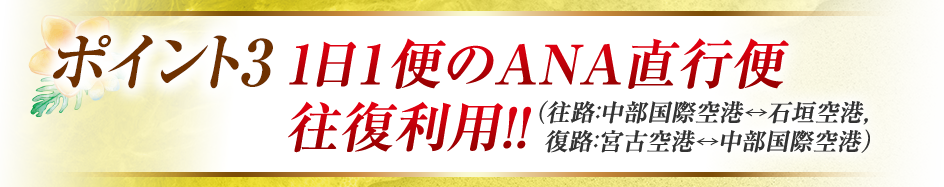 ポイント3　1日1便のANA直行便往復利用!!（往路：中部国際空港↔石垣空港、復路：石垣空港↔中部国際空港）
