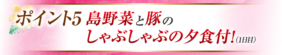 ポイント5　島野菜と豚のしゃぶしゃぶの夕食付！