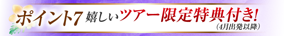 ポイント7　嬉しいツアー限定特典付き！　